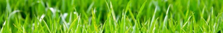 un mILIEU Naturel OÙ IL FAIT BON VIVRE ET PROFITER DE LA VIE